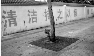 三亚乱吐槟榔水屡禁不止 游客称满街都是“血”