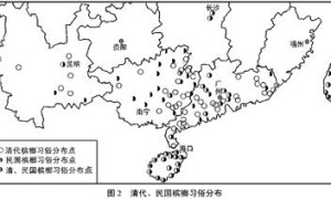 海南槟榔曾与湘潭兴衰相关 是湘军抗战三宝之一
