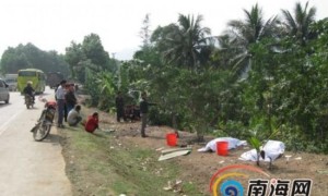 万宁：铲车冲出公路翻进槟榔园 2青年当场亡