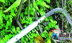 屯昌20岁小伙摘槟榔 11米长镰刀碰到高压电线触电身亡
