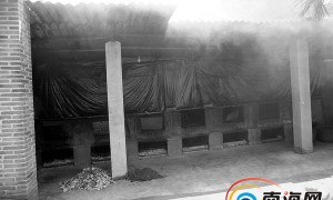 万宁农户采用烟熏烤槟榔黑果 市区晚上烟雾缭绕