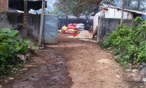 槟榔土灶加工点 烟雾笼罩海南多个乡镇