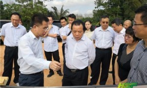 杨思涛率队督导万吨大虾项目和万宁槟榔城项目